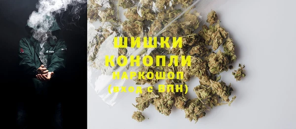 амф Богородицк
