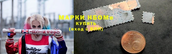прущие грибы Богданович