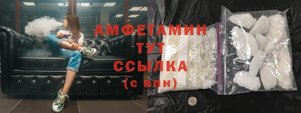 прущие грибы Богданович