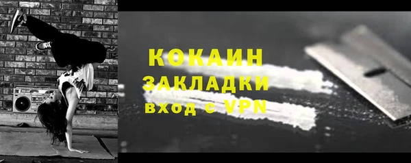 прущие грибы Богданович