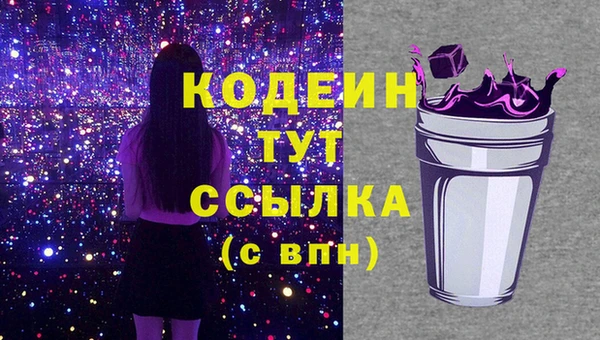 прущие грибы Богданович