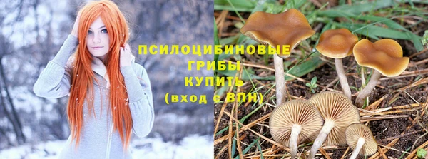 ГАЛЛЮЦИНОГЕННЫЕ ГРИБЫ Беломорск