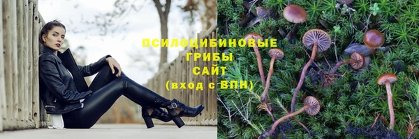 мдпв Белокуриха