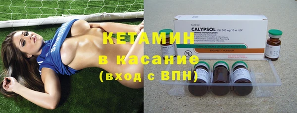 шишки Белоозёрский